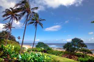 Kauai North Coast 2-8783 Kauai North Coast 2-8783